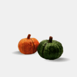 Huerto Calabaza mediana - Imagen 2