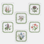 Botanical set 6 posavasos corcho