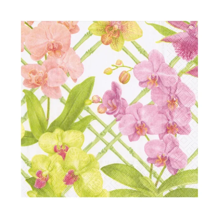 Lunch Orchid conservatory - Image 1