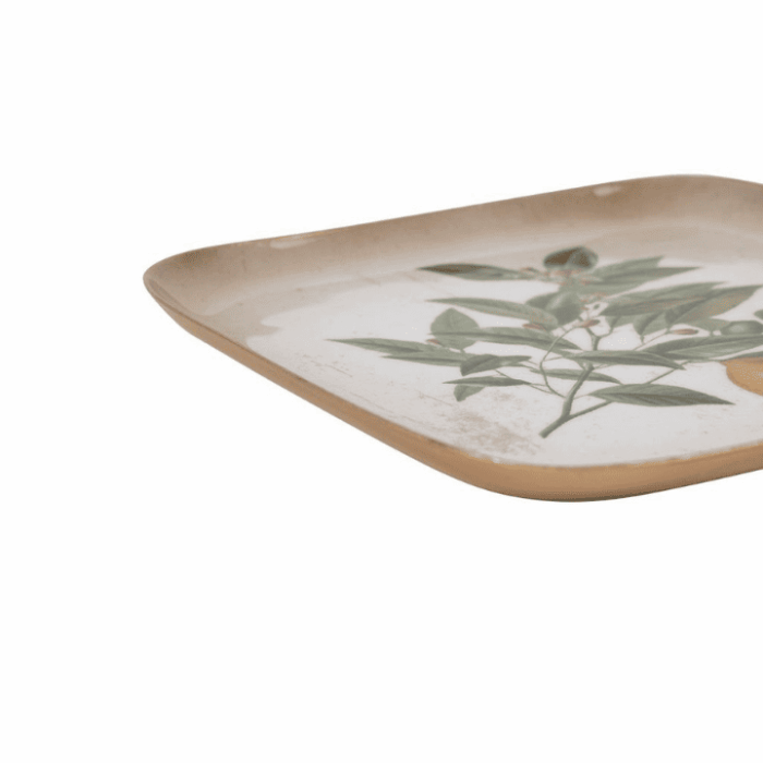 Bandeja limonero - Imagen 2