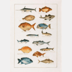 Kitchen towel - Granadilla - Image 2
