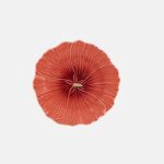 Flor Malva loca -  Plato postre