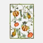 Paño cocina- Calabazas