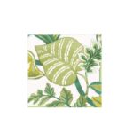 Coctel - Ivory Florida