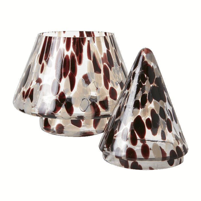 Abeto caja cristal - Imagen 3