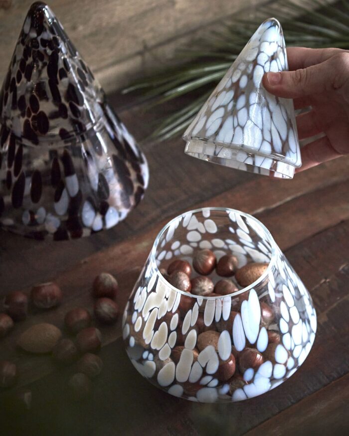 Abeto caja cristal - Imagen 6